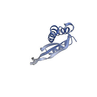10656_6xza_S2_v1-0
E. coli 70S ribosome in complex with dirithromycin, and deacylated tRNA(iMet) (focused classification).