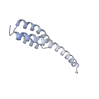 10656_6xza_T1_v1-0
E. coli 70S ribosome in complex with dirithromycin, and deacylated tRNA(iMet) (focused classification).