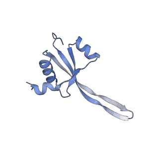 10656_6xza_T2_v1-0
E. coli 70S ribosome in complex with dirithromycin, and deacylated tRNA(iMet) (focused classification).