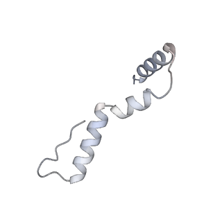 10656_6xza_U1_v1-0
E. coli 70S ribosome in complex with dirithromycin, and deacylated tRNA(iMet) (focused classification).