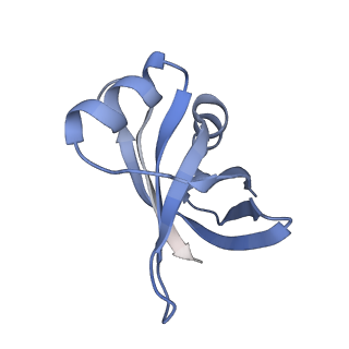 10656_6xza_V2_v1-0
E. coli 70S ribosome in complex with dirithromycin, and deacylated tRNA(iMet) (focused classification).
