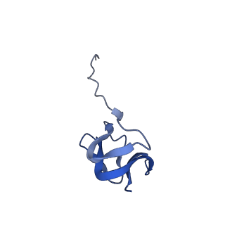 10656_6xza_W2_v1-0
E. coli 70S ribosome in complex with dirithromycin, and deacylated tRNA(iMet) (focused classification).