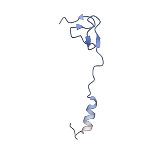 10656_6xza_a2_v1-0
E. coli 70S ribosome in complex with dirithromycin, and deacylated tRNA(iMet) (focused classification).
