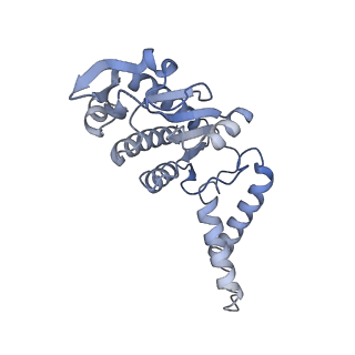 10657_6xzb_B1_v1-0
E. coli 70S ribosome in complex with dirithromycin, fMet-Phe-tRNA(Phe) and deacylated tRNA(iMet) (focused classification).