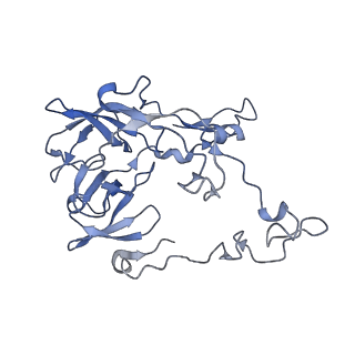 10657_6xzb_C2_v1-0
E. coli 70S ribosome in complex with dirithromycin, fMet-Phe-tRNA(Phe) and deacylated tRNA(iMet) (focused classification).