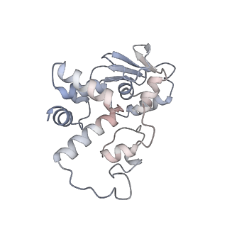 10657_6xzb_D1_v1-0
E. coli 70S ribosome in complex with dirithromycin, fMet-Phe-tRNA(Phe) and deacylated tRNA(iMet) (focused classification).