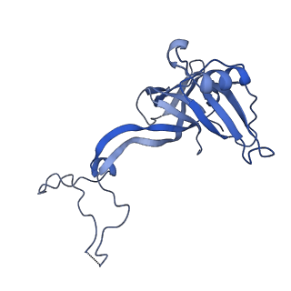 10657_6xzb_D2_v1-0
E. coli 70S ribosome in complex with dirithromycin, fMet-Phe-tRNA(Phe) and deacylated tRNA(iMet) (focused classification).