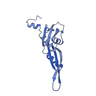 10657_6xzb_E1_v1-0
E. coli 70S ribosome in complex with dirithromycin, fMet-Phe-tRNA(Phe) and deacylated tRNA(iMet) (focused classification).