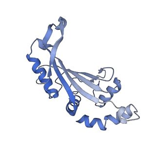 10657_6xzb_F2_v1-0
E. coli 70S ribosome in complex with dirithromycin, fMet-Phe-tRNA(Phe) and deacylated tRNA(iMet) (focused classification).