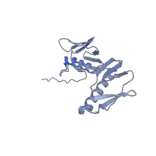 10657_6xzb_G2_v1-0
E. coli 70S ribosome in complex with dirithromycin, fMet-Phe-tRNA(Phe) and deacylated tRNA(iMet) (focused classification).