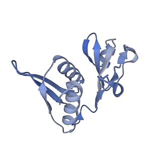 10657_6xzb_H1_v1-0
E. coli 70S ribosome in complex with dirithromycin, fMet-Phe-tRNA(Phe) and deacylated tRNA(iMet) (focused classification).