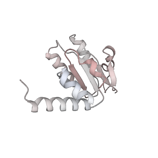 10657_6xzb_H2_v1-0
E. coli 70S ribosome in complex with dirithromycin, fMet-Phe-tRNA(Phe) and deacylated tRNA(iMet) (focused classification).
