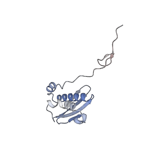 10657_6xzb_I1_v1-0
E. coli 70S ribosome in complex with dirithromycin, fMet-Phe-tRNA(Phe) and deacylated tRNA(iMet) (focused classification).