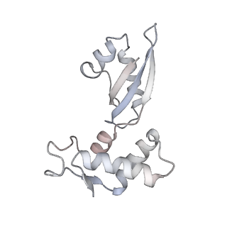 10657_6xzb_I2_v1-0
E. coli 70S ribosome in complex with dirithromycin, fMet-Phe-tRNA(Phe) and deacylated tRNA(iMet) (focused classification).