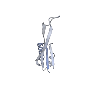 10657_6xzb_J1_v1-0
E. coli 70S ribosome in complex with dirithromycin, fMet-Phe-tRNA(Phe) and deacylated tRNA(iMet) (focused classification).