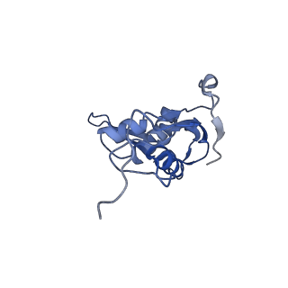 10657_6xzb_J2_v1-0
E. coli 70S ribosome in complex with dirithromycin, fMet-Phe-tRNA(Phe) and deacylated tRNA(iMet) (focused classification).
