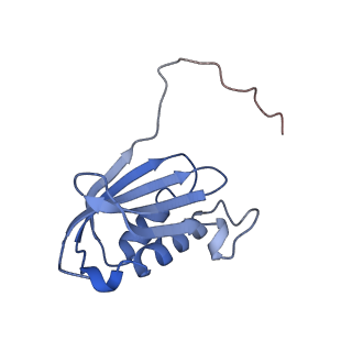 10657_6xzb_K1_v1-0
E. coli 70S ribosome in complex with dirithromycin, fMet-Phe-tRNA(Phe) and deacylated tRNA(iMet) (focused classification).