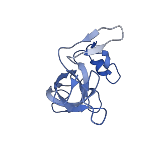 10657_6xzb_K2_v1-0
E. coli 70S ribosome in complex with dirithromycin, fMet-Phe-tRNA(Phe) and deacylated tRNA(iMet) (focused classification).