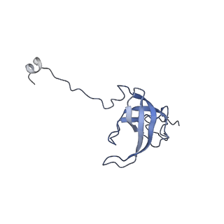 10657_6xzb_L1_v1-0
E. coli 70S ribosome in complex with dirithromycin, fMet-Phe-tRNA(Phe) and deacylated tRNA(iMet) (focused classification).