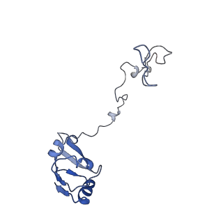 10657_6xzb_L2_v1-0
E. coli 70S ribosome in complex with dirithromycin, fMet-Phe-tRNA(Phe) and deacylated tRNA(iMet) (focused classification).