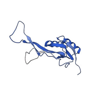 10657_6xzb_M2_v1-0
E. coli 70S ribosome in complex with dirithromycin, fMet-Phe-tRNA(Phe) and deacylated tRNA(iMet) (focused classification).