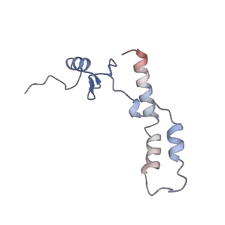 10657_6xzb_N1_v1-0
E. coli 70S ribosome in complex with dirithromycin, fMet-Phe-tRNA(Phe) and deacylated tRNA(iMet) (focused classification).