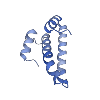 10657_6xzb_O1_v1-0
E. coli 70S ribosome in complex with dirithromycin, fMet-Phe-tRNA(Phe) and deacylated tRNA(iMet) (focused classification).