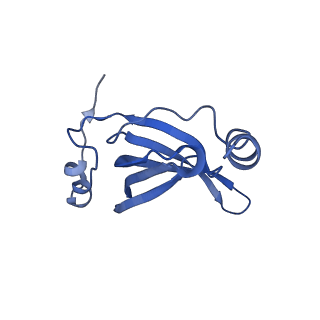 10657_6xzb_P2_v1-0
E. coli 70S ribosome in complex with dirithromycin, fMet-Phe-tRNA(Phe) and deacylated tRNA(iMet) (focused classification).