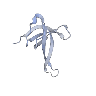 10657_6xzb_Q1_v1-0
E. coli 70S ribosome in complex with dirithromycin, fMet-Phe-tRNA(Phe) and deacylated tRNA(iMet) (focused classification).