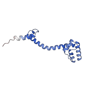 10657_6xzb_Q2_v1-0
E. coli 70S ribosome in complex with dirithromycin, fMet-Phe-tRNA(Phe) and deacylated tRNA(iMet) (focused classification).