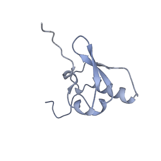 10657_6xzb_S1_v1-0
E. coli 70S ribosome in complex with dirithromycin, fMet-Phe-tRNA(Phe) and deacylated tRNA(iMet) (focused classification).