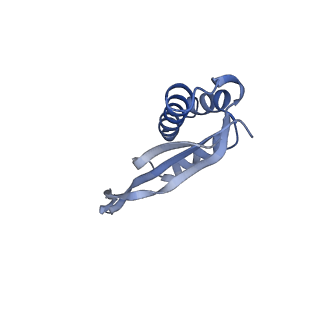 10657_6xzb_S2_v1-0
E. coli 70S ribosome in complex with dirithromycin, fMet-Phe-tRNA(Phe) and deacylated tRNA(iMet) (focused classification).