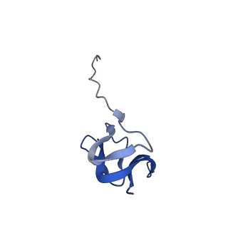 10657_6xzb_W2_v1-0
E. coli 70S ribosome in complex with dirithromycin, fMet-Phe-tRNA(Phe) and deacylated tRNA(iMet) (focused classification).