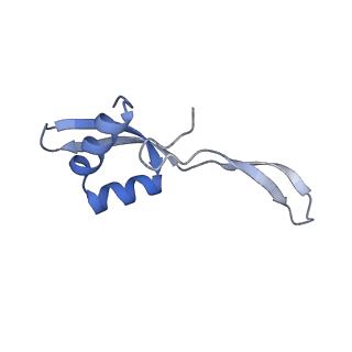 10657_6xzb_X2_v1-0
E. coli 70S ribosome in complex with dirithromycin, fMet-Phe-tRNA(Phe) and deacylated tRNA(iMet) (focused classification).