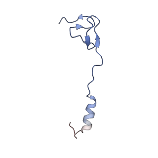 10657_6xzb_a2_v1-0
E. coli 70S ribosome in complex with dirithromycin, fMet-Phe-tRNA(Phe) and deacylated tRNA(iMet) (focused classification).