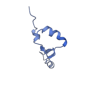 10657_6xzb_d2_v1-0
E. coli 70S ribosome in complex with dirithromycin, fMet-Phe-tRNA(Phe) and deacylated tRNA(iMet) (focused classification).