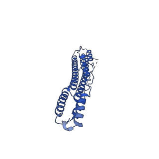 10658_6xzc_B_v1-1
CryoEM structure of the ring-shaped virulence factor EspB from Mycobacterium tuberculosis
