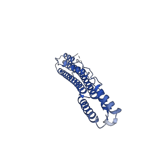 10658_6xzc_C_v1-1
CryoEM structure of the ring-shaped virulence factor EspB from Mycobacterium tuberculosis