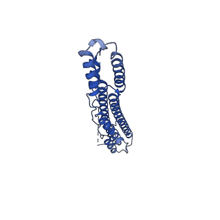 10658_6xzc_F_v1-1
CryoEM structure of the ring-shaped virulence factor EspB from Mycobacterium tuberculosis