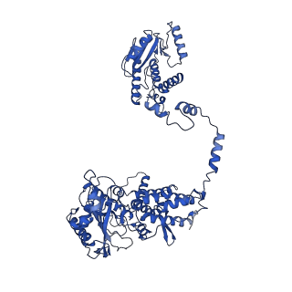 10659_6xzd_AP1_v1-0
Influenza C virus polymerase complex without chicken ANP32A - Subclass 2