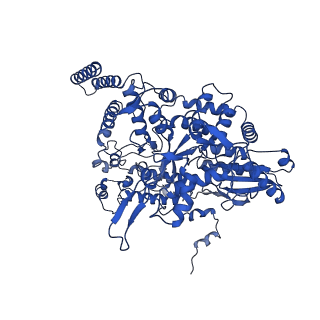 10659_6xzd_BP1_v1-0
Influenza C virus polymerase complex without chicken ANP32A - Subclass 2