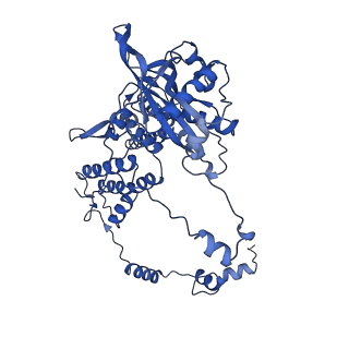 10659_6xzd_DP1_v1-0
Influenza C virus polymerase complex without chicken ANP32A - Subclass 2