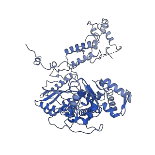 10659_6xzd_EP1_v1-0
Influenza C virus polymerase complex without chicken ANP32A - Subclass 2