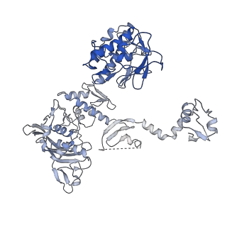 10659_6xzd_FP1_v1-0
Influenza C virus polymerase complex without chicken ANP32A - Subclass 2