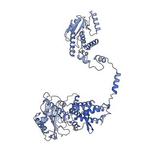 10662_6xzg_AP1_v1-1
Influenza C virus polymerase in complex with chicken ANP32A - Subclass 3