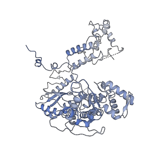 10662_6xzg_EP1_v1-1
Influenza C virus polymerase in complex with chicken ANP32A - Subclass 3