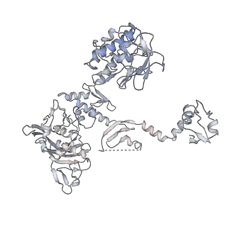 10662_6xzg_FP1_v1-1
Influenza C virus polymerase in complex with chicken ANP32A - Subclass 3