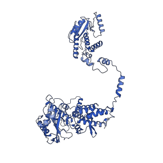 10664_6xzp_AP1_v1-1
Influenza C virus polymerase in complex with chicken ANP32A - Subclass 4