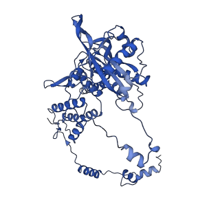 10664_6xzp_DP1_v1-1
Influenza C virus polymerase in complex with chicken ANP32A - Subclass 4