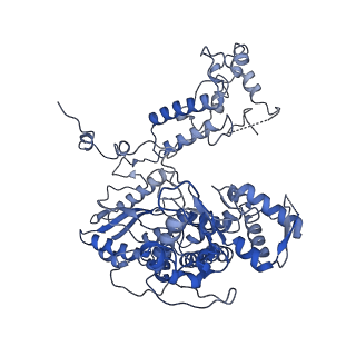 10664_6xzp_EP1_v1-1
Influenza C virus polymerase in complex with chicken ANP32A - Subclass 4